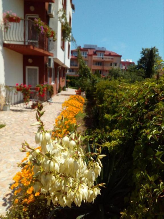Apartments Ivelin Lozenets Exterior photo